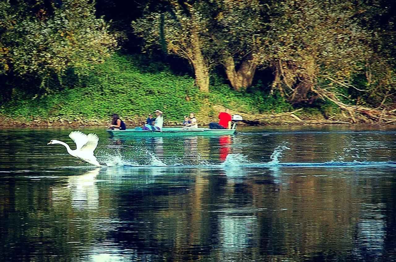 Zagreb, Kuca Za Odmor Swan River Holiday House Lasinja Exteriör bild